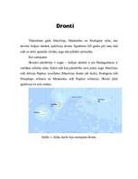 Referāts 'Dronti', 1.