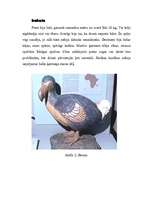 Referāts 'Dronti', 2.