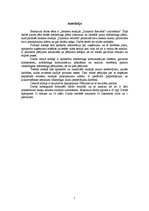 Diplomdarbs 'Ierakstu studijas "Dynamic Records" mārketinga plāna uzlabošana', 2.