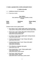 Diplomdarbs 'Ierakstu studijas "Dynamic Records" mārketinga plāna uzlabošana', 9.