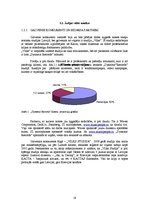 Diplomdarbs 'Ierakstu studijas "Dynamic Records" mārketinga plāna uzlabošana', 18.