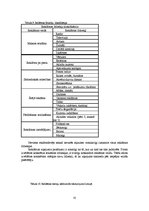 Diplomdarbs 'Ierakstu studijas "Dynamic Records" mārketinga plāna uzlabošana', 33.