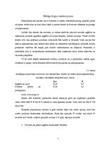 Referāts 'Mārketinga plāns uzņēmumam', 7.