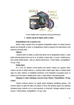 Referāts 'Attēlu kvalitāte', 10.