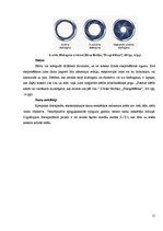 Referāts 'Attēlu kvalitāte', 11.