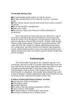 Prezentācija 'Human Body Types', 22.