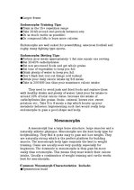 Prezentācija 'Human Body Types', 23.