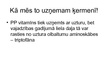 Prezentācija 'PP vitamīns - niacīns jeb nikotīnskābe', 5.