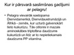 Prezentācija 'PP vitamīns - niacīns jeb nikotīnskābe', 13.
