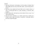 Paraugs 'Vadītāja nozīme organizācijas kultūras veidošanā un uzturēšanā izglītības iestād', 12.