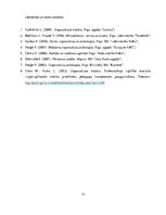 Paraugs 'Vadītāja nozīme organizācijas kultūras veidošanā un uzturēšanā izglītības iestād', 13.