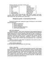 Prakses atskaite 'KS "Strazde" prakses atskaite', 6.