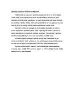 Referāts 'Automašīnu dzinēju vadības sistēmas', 5.