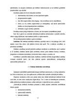 Diplomdarbs 'Informācijas sistēmas izstrāde mazumtirdzniecības veikalam', 12.