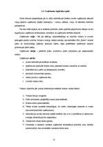 Diplomdarbs 'Informācijas sistēmas izstrāde mazumtirdzniecības veikalam', 22.