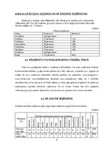 Biznesa plāns 'Biznesa plāns', 8.