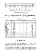 Biznesa plāns 'Biznesa plāns', 9.