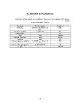 Biznesa plāns 'Biznesa plāns', 10.