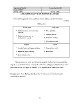 Biznesa plāns 'Biznesa plāns', 12.