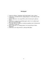 Biznesa plāns 'Biznesa plāns', 13.