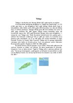 Konspekts 'Jēkaba kolonijas', 2.