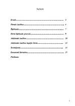 Referāts 'Atkārtotās laulības', 2.