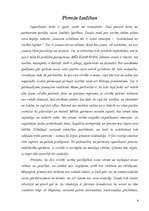 Referāts 'Atkārtotās laulības', 4.