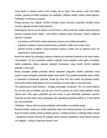 Paraugs 'Romiešu civiltiesības juridiskajā koledžā', 8.