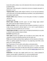 Paraugs 'Romiešu civiltiesības juridiskajā koledžā', 19.