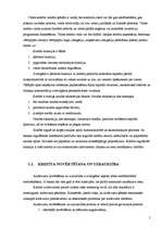 Referāts 'Banku izsniedzamie kredītu veidi', 5.