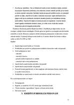 Referāts 'Banku izsniedzamie kredītu veidi', 13.