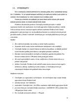 Referāts 'Banku izsniedzamie kredītu veidi', 14.