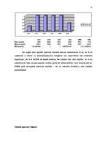 Referāts 'Finanšu rādītāju analīze', 13.