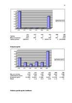 Referāts 'Finanšu rādītāju analīze', 14.