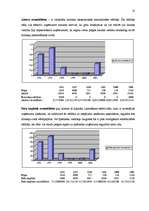 Referāts 'Finanšu rādītāju analīze', 18.