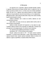 Referāts 'Finanšu rādītāju analīze', 19.