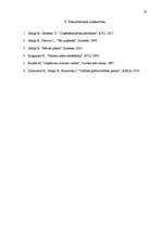 Referāts 'Finanšu rādītāju analīze', 20.