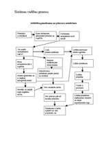 Konspekts 'Vadības process', 1.