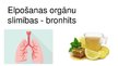 Prezentācija 'Bronhīts - elpošanas orgānu sistēmas slimība', 1.