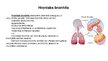 Prezentācija 'Bronhīts - elpošanas orgānu sistēmas slimība', 5.