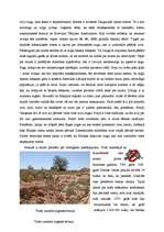 Referāts 'Bioloģiskais piesārņojums', 6.