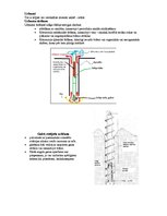 Konspekts 'Inženierģeoloģija', 2.