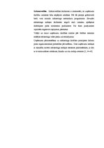 Referāts 'Uzņēmuma mārketinga iekšējās vides faktori', 7.