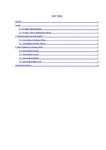 Referāts 'Politiskie režīmi', 1.