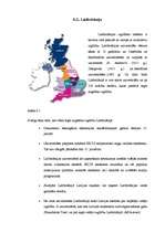 Referāts 'Izglītības socioloģija', 18.