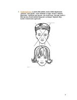 Referāts 'Matemātika friziera profesijā', 4.