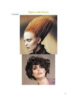 Referāts 'Matemātika friziera profesijā', 7.