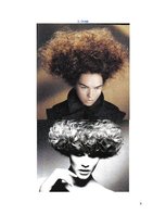 Referāts 'Matemātika friziera profesijā', 8.