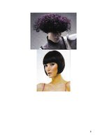 Referāts 'Matemātika friziera profesijā', 9.