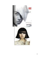 Referāts 'Matemātika friziera profesijā', 12.